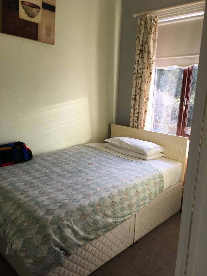 Sycamore House B&B Dublin Exteriör bild