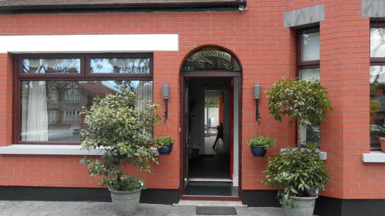 Sycamore House B&B Dublin Exteriör bild