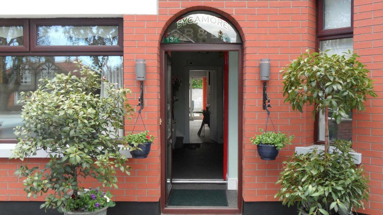 Sycamore House B&B Dublin Exteriör bild