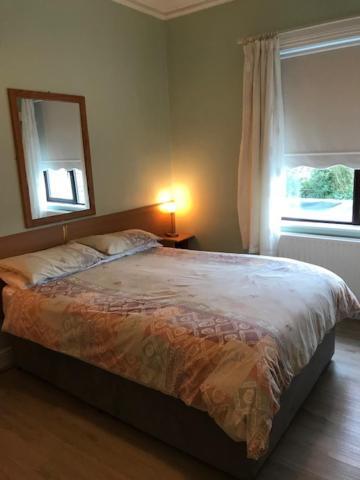 Sycamore House B&B Dublin Exteriör bild